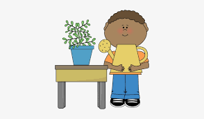 How Does Your Garden Grow?